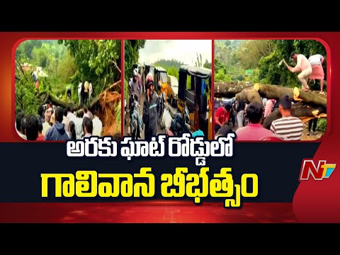 Araku Ghat Road Blocked by Fallen Trees | NTV Telugu - NTVTELUGU