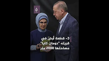 بعد فوزه بولاية جديدة لرئاسة تركيا تعرف إلى ثروة الرئيس رجب طيب أردوغان 