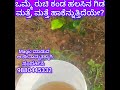ಒಮ್ಮೆ ರುಚಿ ಕಂಡ Jackfruit ಗಿಡ ಮತ್ತೆ ಬೇಕೆನ್ನುತ್ತಿದೆಯೇ? That is Jeevamratha;Organic Farming Opportunity