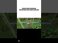 tam olarak böyle #minecraft