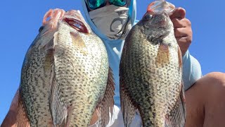 Catching slab crappie at falcon lake Update