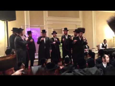 Lipa At A Wedding In Williamsburg #sandy