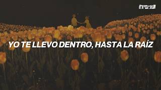 Natalia Lafourcade - Hasta la Raíz (Letra)
