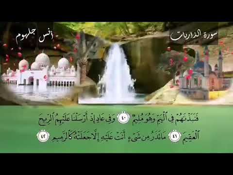 سورة الذاريات الشيخ انس جلهوم 