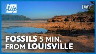 The Falls of the Ohio (Louisville, KY) | Kentucky Life | KET