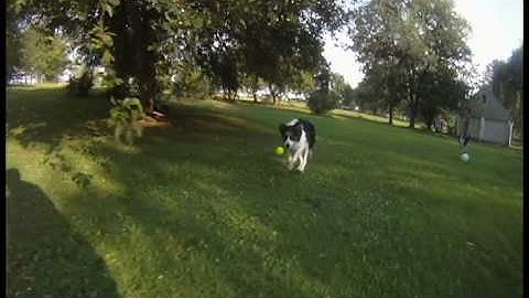 GoPro Hero HD 60fps slow motion test