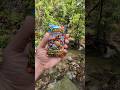 Pokémon Mega Evolution x Oakmont Park - Trinity River Trail