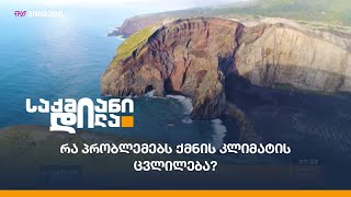 რა პრობლემებს ქმნის კლიმატის ცვლილება?