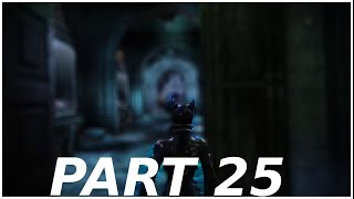 Batman Arkham City - Walkthrough #25 Back at the Museum
