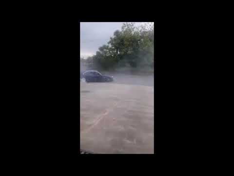 ზურიკელა