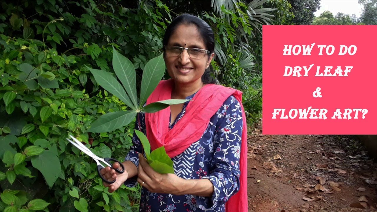 HOW TO DO DRY LEAF AND FLOWER ART? YouTube