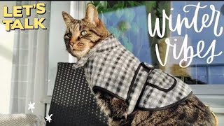 Why Is My Cat Wearing a Dog's Winter Coat❓ by Samo Tries Cat Stuff 222 views 5 months ago 56 seconds