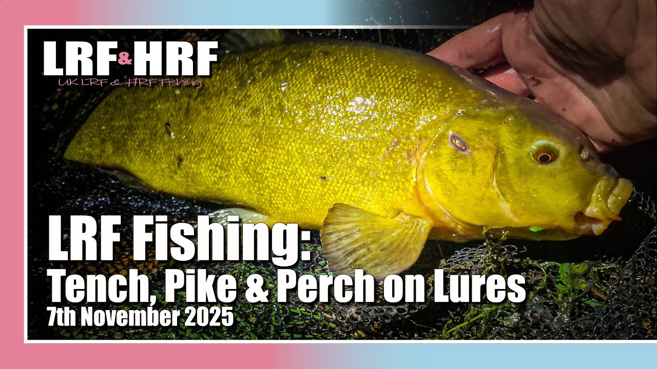 LRF Fishing: Tench, Pike & Perch on Lures