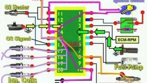 ECM Circuit & Wiring Diagram