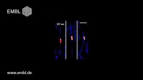 Maintaining constant overlap