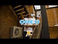 Joey joe  oreo official music  xl daily