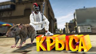 :  !    ! GTA 5 RP (Burton)