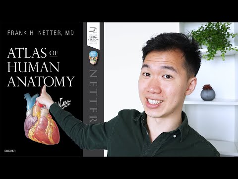 THE BEST anatomy