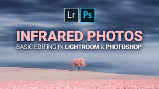 Basic Infrared Photo Editing with Lightroom & Photoshop Net Worth