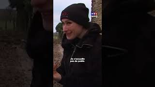 Sanglier Domestiqu  Une Mobilisation Pour Sauver Rillettetf1 Info