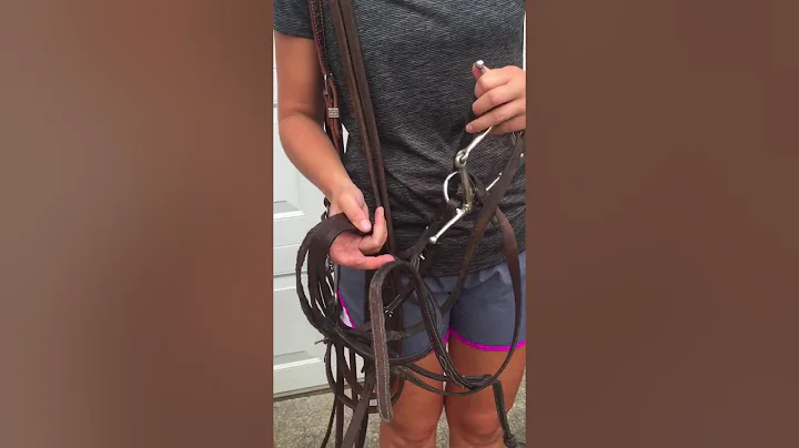 How to properly clean tack: bridles