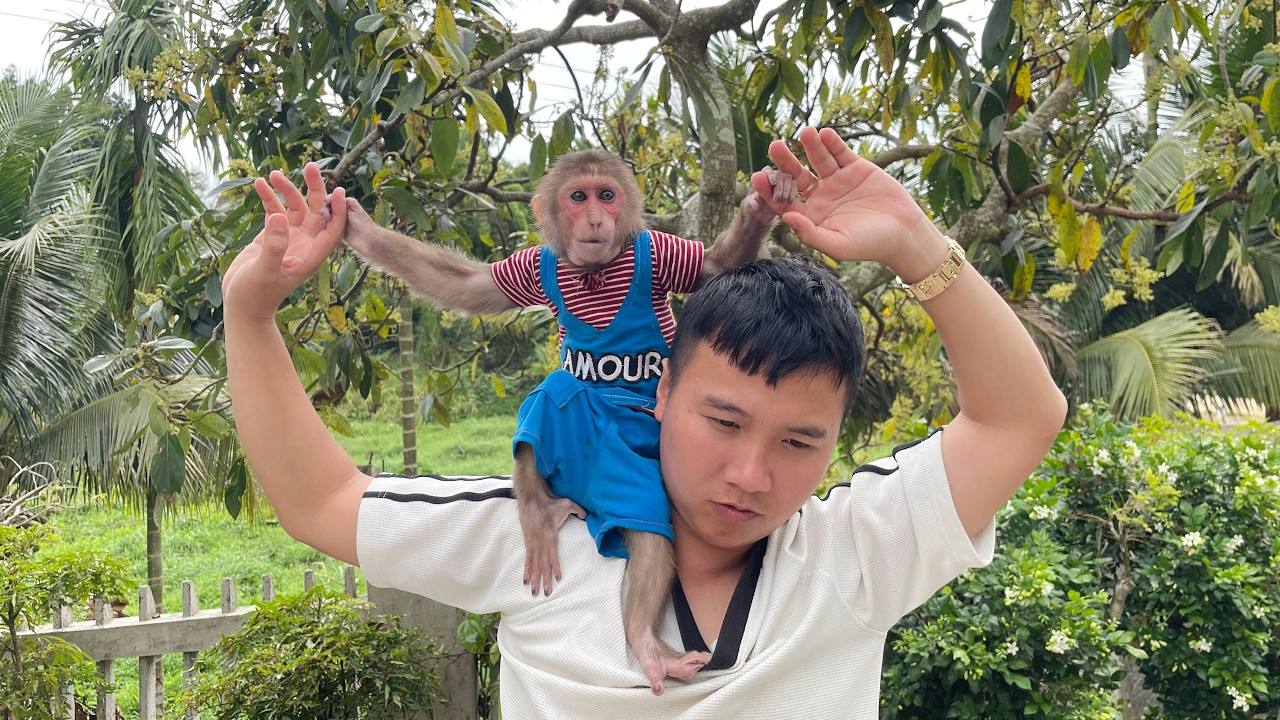 The Sweetest Morning Routine with CUBIS and Dad ☀️🫶