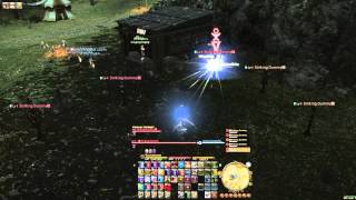 Final Fantasy XIV a Realm Reborn - Focus Targeting