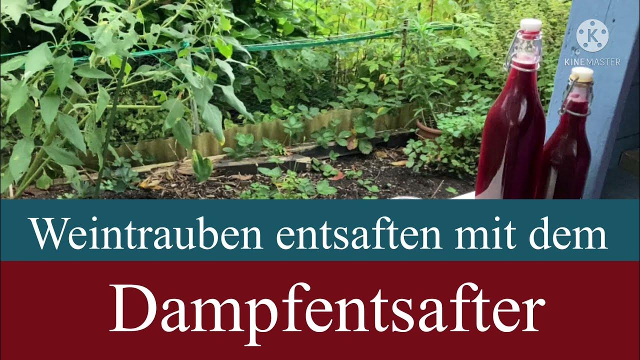 Trauben entsaften mit dem Dampfentsafter / VANDERHAAGVideo YouTube