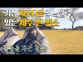 제주돌문화공원 넘치는 제주명소 중 한곳을 고르라면 여기 재미와 힐링을 동시에 제주돌문화공원 넘치는 제주명소 중 한곳을 고르라면 여기 재미와 힐링을 동시에