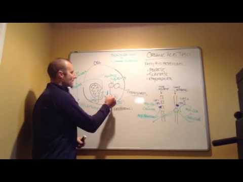 Organic Tutorial Ácidos