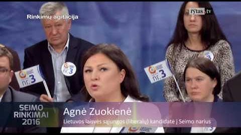 „Seimo rinkimai“: Audronius Ažubalis apie GPM Vilniui: „Turtingesnis turi dalintis“ (II)