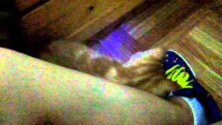 DSCF6987.AVI