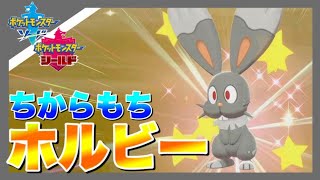 ホルビーの色違いが出て発狂する男 ポケモン剣盾 Youtube