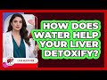 How Does Water Help Your Liver Detoxify? - Liver Health Hub