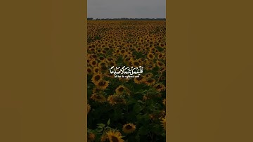 قُل لَّوْ كَانَ الْبَحْرُ مِدَادًا لِّكَلِمَاتِ رَبِّي لَنَفِدَ الْبَحْرُ"| القارئ اسلام صبحي