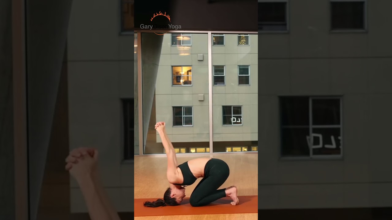 Йога: место, где разум, тело и душа обретают покой.