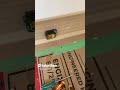 “Electrical Troubleshooting in Action! 🔍 Outlet & Panel Issues EXPLAINED”