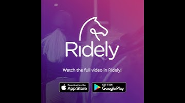 Teaching the Horse to Stand at the Mounting Block - Joa Sigsbee