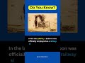 Baboon Railway Signalman #shorts #youtubeshorts #doyouknow #baboon #railwaysignalman #portelizabeth