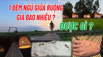 ĐỘC LẠ RESORT THE "RUỘNG" | VÌ SAO CÓ TÊN GỌI NÀY? | UNIQUE RESORT THE "RUONG"