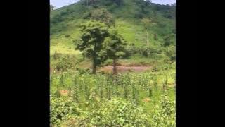 Phather Mak - Dizem.mp4