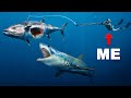 Giant tuna eaten alive by sharks after i speared it