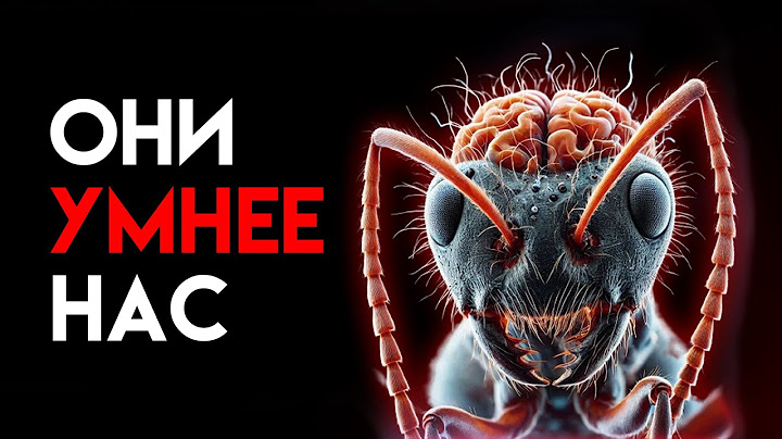 МУРАВЬИ. Вторая цивилизация на Земле?