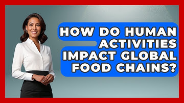 How Do Human Activities Impact Global Food Chains? - Explaining Ecology