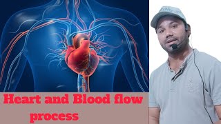 Heart and Blood Flow Process