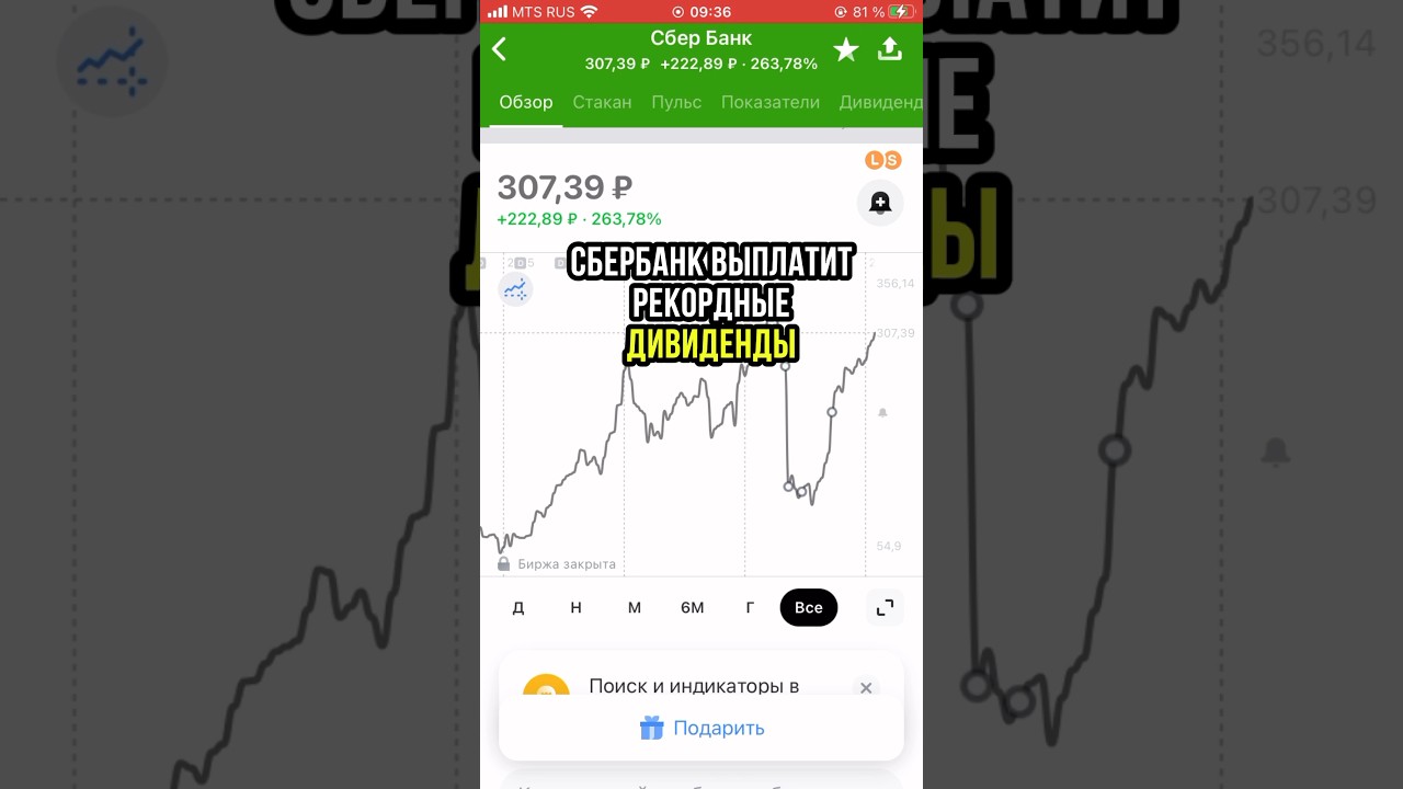 Дивиденды Сбербанка в 2024 году 