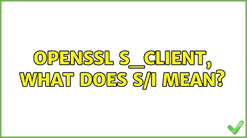 openssl s_client, what does s/i mean?
