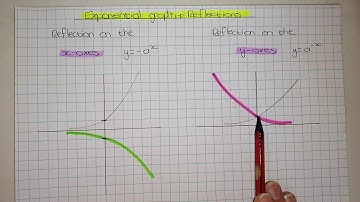 Reflections of the Exponential Graph