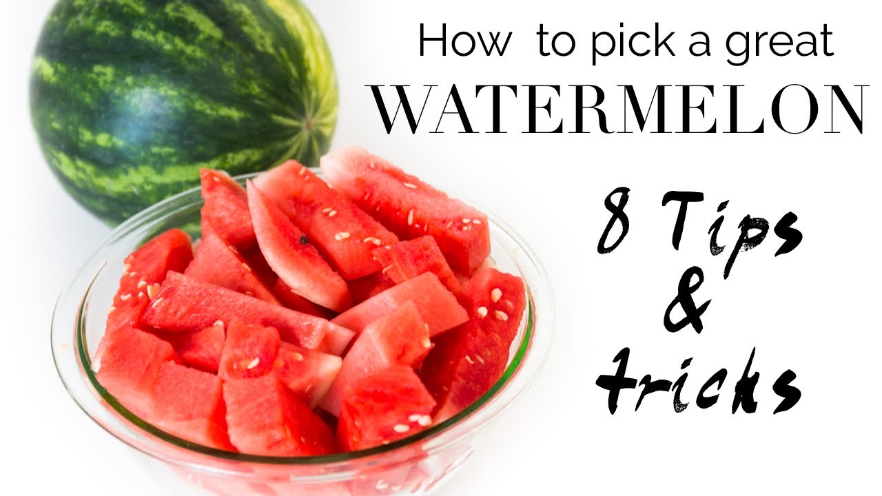TIPS ON HOW TO PICK A GREAT WATERMELON | Vegan Michele - YouTube