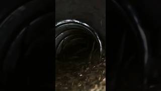 Phim Ma Kinh Dị Trong Hang Động Đừng Xem 1 Mình